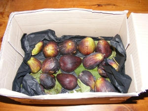 Box of figs