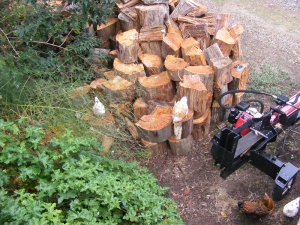 Wood pile and block splitter with chooks